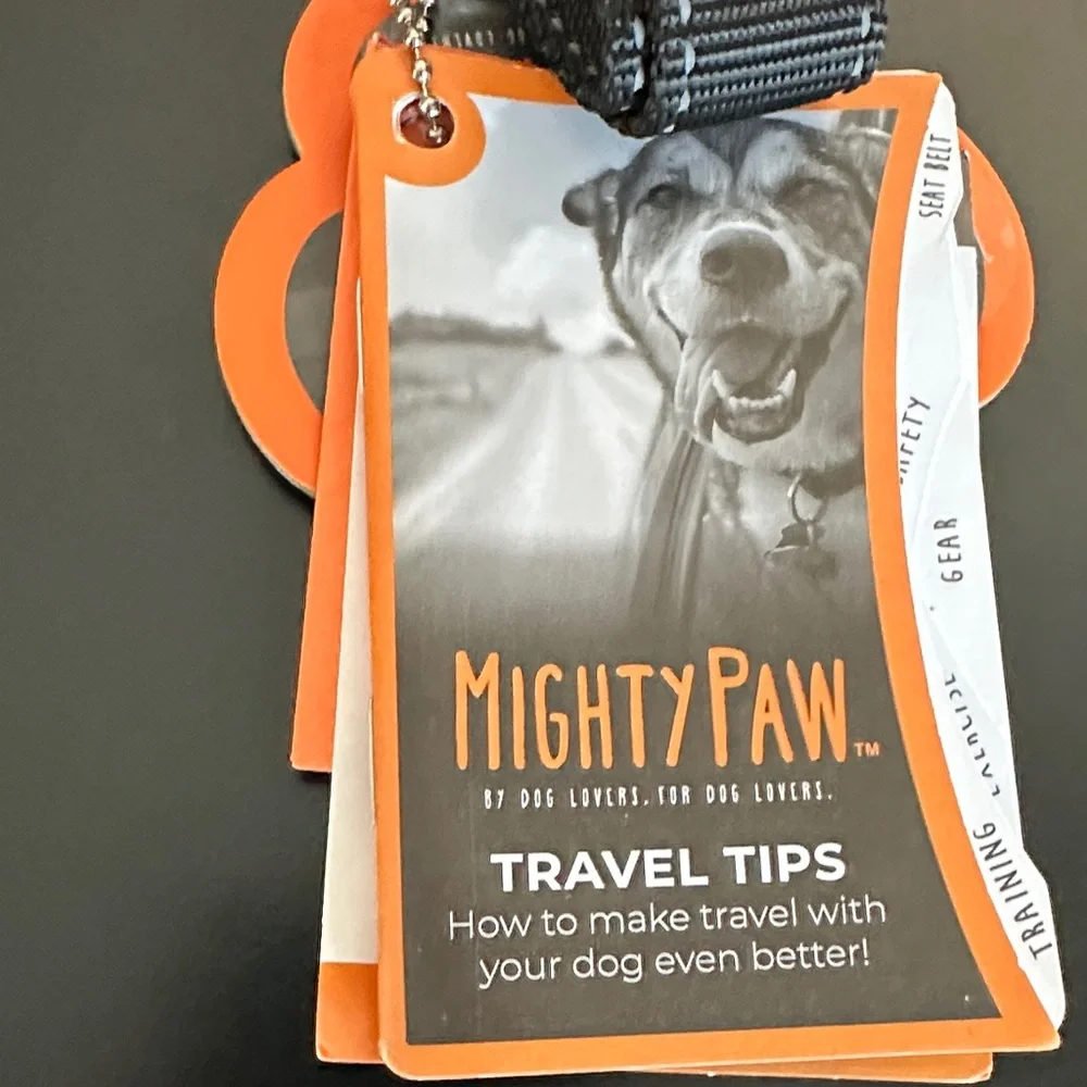 Black Dog Seat Belt